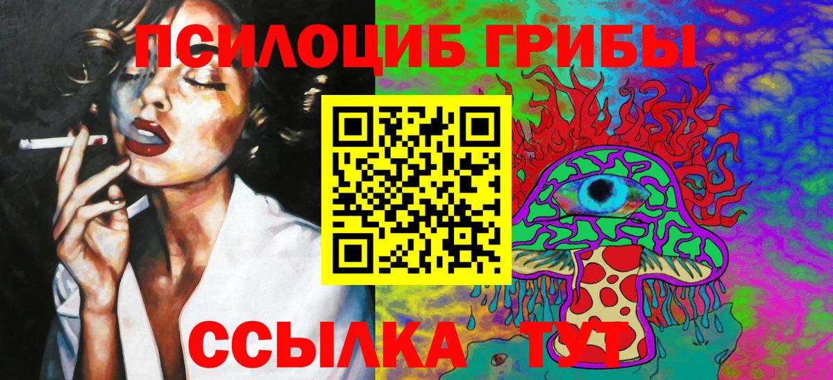 Галлюциногенные грибы Cubensis Фурманов